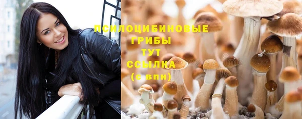 твердый Алексеевка