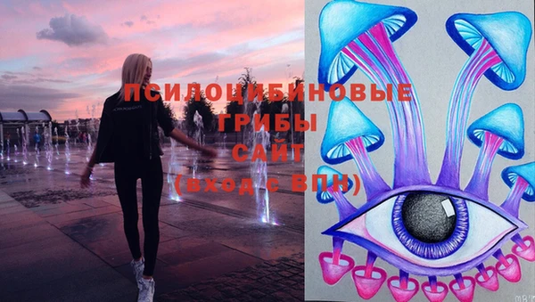 mdpv Алексин