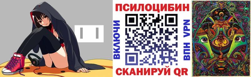 купить закладку  Сосновый Бор  Галлюциногенные грибы мухоморы 