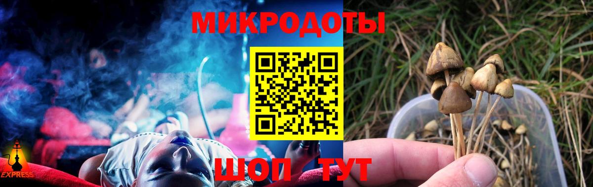 Псилоцибиновые грибы MAGIC MUSHROOMS Сосновый Бор